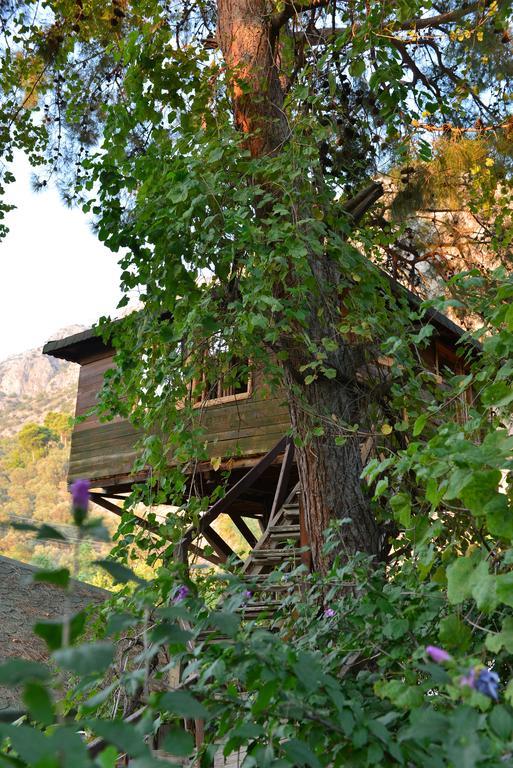 Gorge Club Hotel Saklikent Room photo